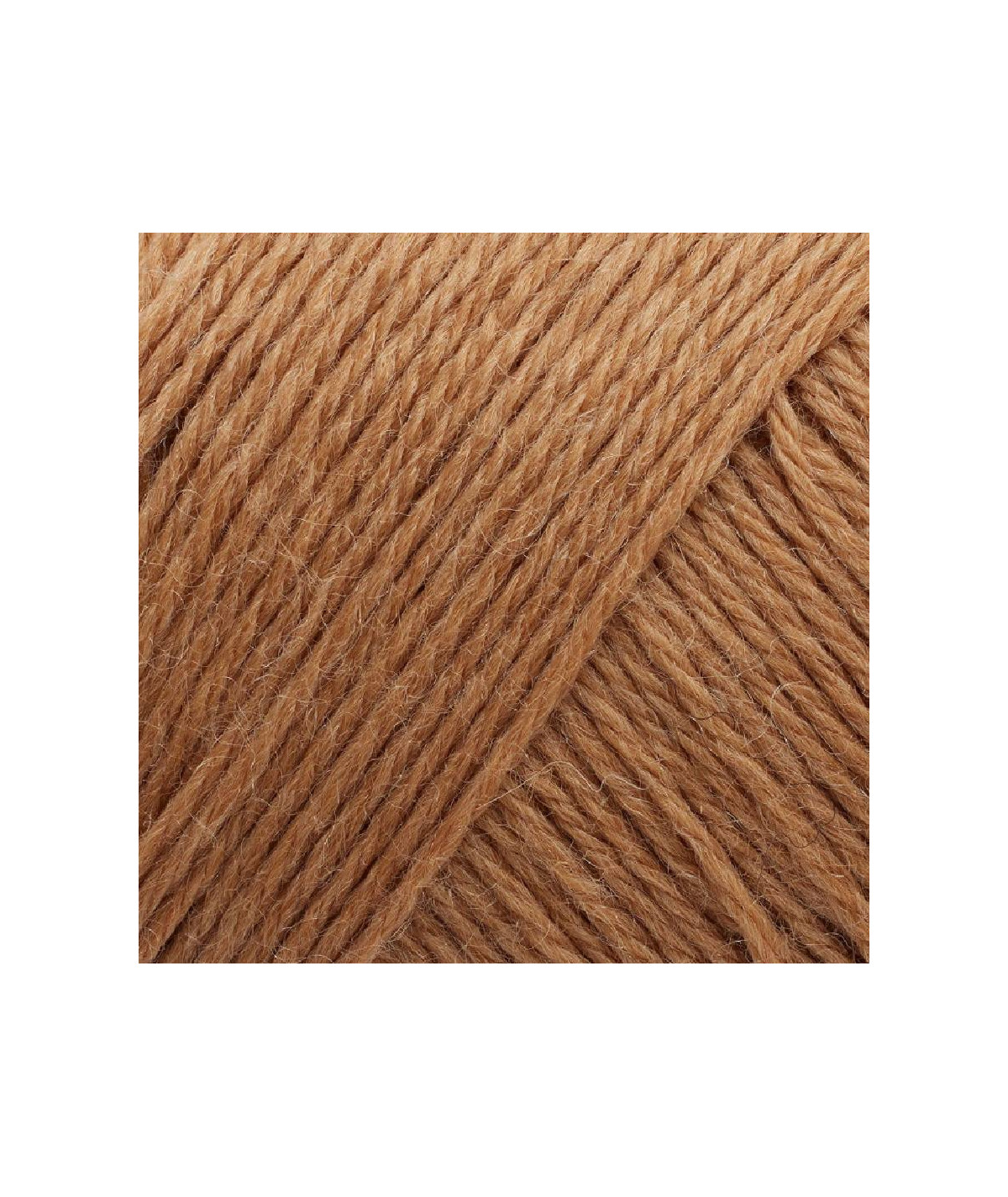 363 Caramel